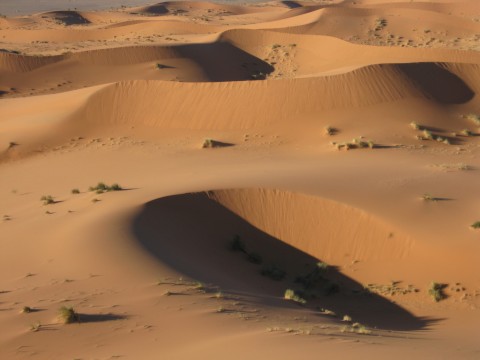 Marokko Saharaduenen