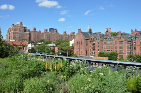 New York von High Line rote Bauten