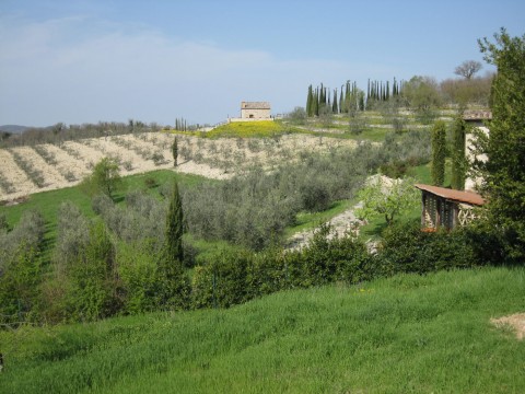 Toskana Landschaft bei Adine