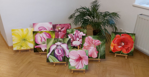 2022 Ulli Utri Blumenbilder outdoors