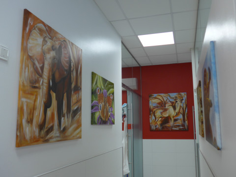 Ulli Utri Ausstellung Tierarztpraxis 1