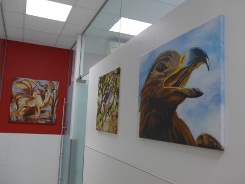 Ulli Utri Ausstellung Tierarztpraxis 2