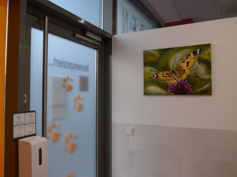 Ulli Utri Ausstellung Tierarztpraxis 4
