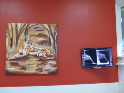 Ulli Utri Ausstellung Tierarztpraxis 6