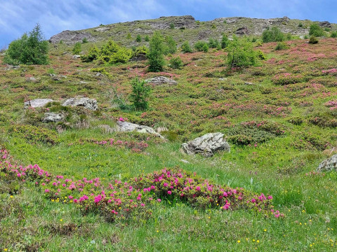 Suedtirol 5